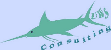 Underwater Simulation Consulting